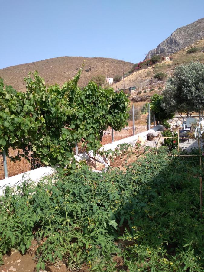 Villa Polymnia Emborios ภายนอก รูปภาพ